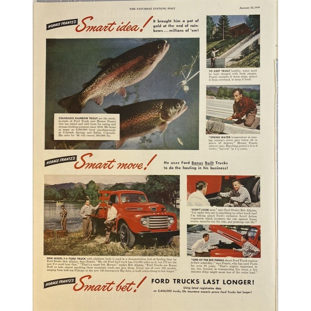 Ford Trucks "Smart Idea, Move, Bet!" Colorado Rainbow Trout Vintage" Print Ad'49